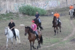 Volta a cavall
