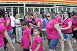 Jornada taurina en Borriol con la ganadería La Espuela y un toro cerril patrocinado por la Penya Les Cuques