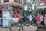 Jornada taurina en Borriol con la ganadería La Espuela y un toro cerril patrocinado por la Penya Les Cuques