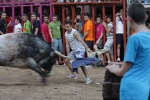 Jornada taurina en Borriol con la ganadería La Espuela y un toro cerril patrocinado por la Penya Les Cuques