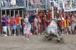 Jornada taurina en Borriol con la ganadería La Espuela y un toro cerril patrocinado por la Penya Les Cuques