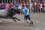 Jornada taurina en Borriol con la ganadería La Espuela y un toro cerril patrocinado por la Penya Les Cuques