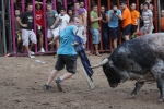Jornada taurina en Borriol con la ganadería La Espuela y un toro cerril patrocinado por la Penya Les Cuques