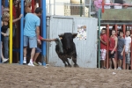Jornada taurina en Borriol con la ganadería La Espuela y un toro cerril patrocinado por la Penya Les Cuques