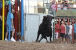 Jornada taurina en Borriol con la ganadería La Espuela y un toro cerril patrocinado por la Penya Les Cuques