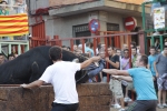 Jornada taurina en Borriol con la ganadería La Espuela y un toro cerril patrocinado por la Penya Les Cuques