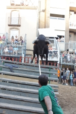 Jornada taurina en Borriol con la ganadería La Espuela y un toro cerril patrocinado por la Penya Les Cuques