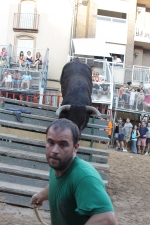 Jornada taurina en Borriol con la ganadería La Espuela y un toro cerril patrocinado por la Penya Les Cuques