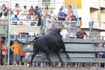 Jornada taurina en Borriol con la ganadería La Espuela y un toro cerril patrocinado por la Penya Les Cuques