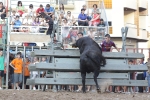 Jornada taurina en Borriol con la ganadería La Espuela y un toro cerril patrocinado por la Penya Les Cuques