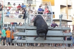 Jornada taurina en Borriol con la ganadería La Espuela y un toro cerril patrocinado por la Penya Les Cuques