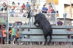Jornada taurina en Borriol con la ganadería La Espuela y un toro cerril patrocinado por la Penya Les Cuques