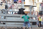 Jornada taurina en Borriol con la ganadería La Espuela y un toro cerril patrocinado por la Penya Les Cuques