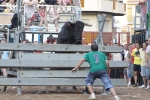 Jornada taurina en Borriol con la ganadería La Espuela y un toro cerril patrocinado por la Penya Les Cuques