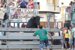 Jornada taurina en Borriol con la ganadería La Espuela y un toro cerril patrocinado por la Penya Les Cuques