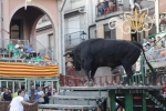 Jornada taurina en Borriol con la ganadería La Espuela y un toro cerril patrocinado por la Penya Les Cuques
