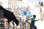 Jornada taurina en Borriol con la ganadería La Espuela y un toro cerril patrocinado por la Penya Les Cuques