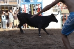 Jornada taurina en Borriol con la ganadería La Espuela y un toro cerril patrocinado por la Penya Les Cuques