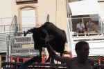 Jornada taurina en Borriol con la ganadería La Espuela y un toro cerril patrocinado por la Penya Les Cuques