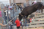 Jornada taurina en Borriol con la ganadería La Espuela y un toro cerril patrocinado por la Penya Les Cuques