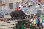 Jornada taurina en Borriol con la ganadería La Espuela y un toro cerril patrocinado por la Penya Les Cuques