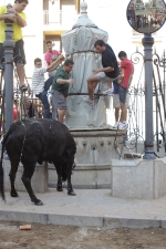 Jornada taurina en Borriol con la ganadería La Espuela y un toro cerril patrocinado por la Penya Les Cuques