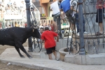 Jornada taurina en Borriol con la ganadería La Espuela y un toro cerril patrocinado por la Penya Les Cuques