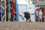 Jornada taurina en Borriol con la ganadería La Espuela y un toro cerril patrocinado por la Penya Les Cuques