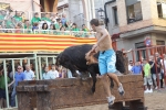 Jornada taurina en Borriol con la ganadería La Espuela y un toro cerril patrocinado por la Penya Les Cuques