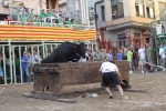 Jornada taurina en Borriol con la ganadería La Espuela y un toro cerril patrocinado por la Penya Les Cuques
