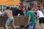 Jornada taurina en Borriol con la ganadería La Espuela y un toro cerril patrocinado por la Penya Les Cuques