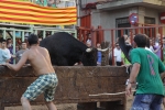Jornada taurina en Borriol con la ganadería La Espuela y un toro cerril patrocinado por la Penya Les Cuques