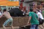 Jornada taurina en Borriol con la ganadería La Espuela y un toro cerril patrocinado por la Penya Les Cuques