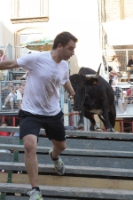 Jornada taurina en Borriol con la ganadería La Espuela y un toro cerril patrocinado por la Penya Les Cuques