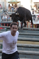 Jornada taurina en Borriol con la ganadería La Espuela y un toro cerril patrocinado por la Penya Les Cuques