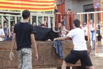 Jornada taurina en Borriol con la ganadería La Espuela y un toro cerril patrocinado por la Penya Les Cuques