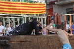 Jornada taurina en Borriol con la ganadería La Espuela y un toro cerril patrocinado por la Penya Les Cuques