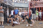 Jornada taurina en Borriol con la ganadería La Espuela y un toro cerril patrocinado por la Penya Les Cuques