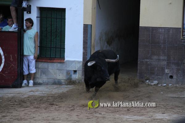 Los toros se viven en Sant Xotxim