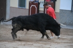 Los toros se viven en Sant Xotxim