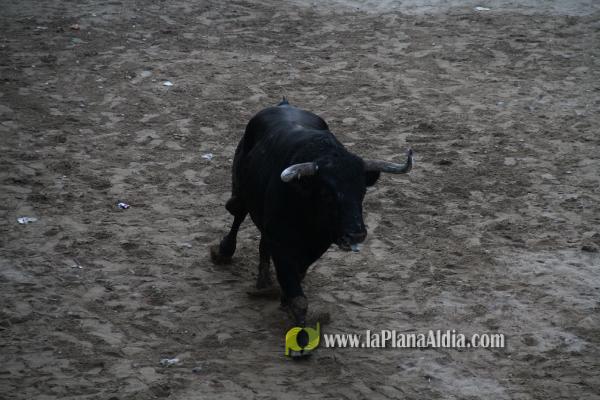 Los toros se viven en Sant Xotxim