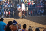 Fotografia /Gallery/35000_19285/10_M1.jpg