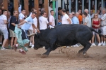 El torero Serafín Marín y Los Quintos del 86 centran la actividad taurina