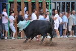 El torero Serafín Marín y Los Quintos del 86 centran la actividad taurina