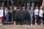 El torero Serafín Marín y Los Quintos del 86 centran la actividad taurina