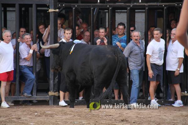 El torero Serafín Marín y Los Quintos del 86 centran la actividad taurina