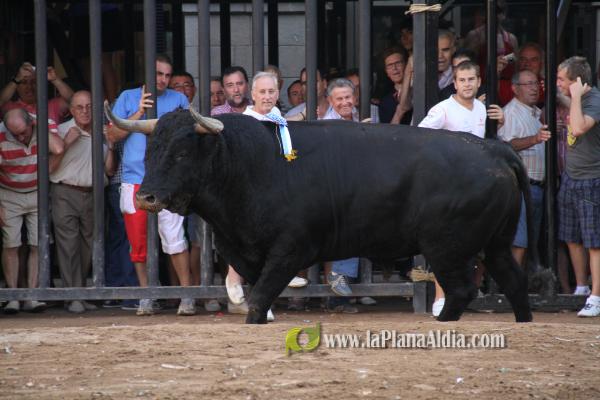 El torero Serafín Marín y Los Quintos del 86 centran la actividad taurina