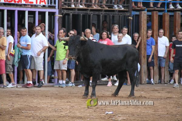 El torero Serafín Marín y Los Quintos del 86 centran la actividad taurina