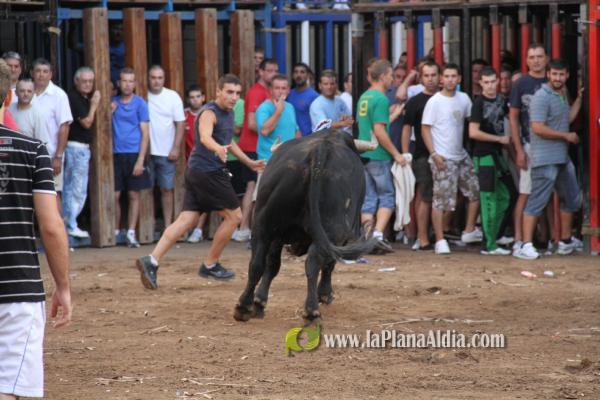 El torero Serafín Marín y Los Quintos del 86 centran la actividad taurina