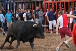 El torero Serafín Marín y Los Quintos del 86 centran la actividad taurina